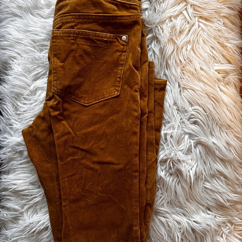 Pilcro Rich Tan Skinny Pants